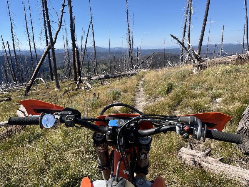 Trail Mirror