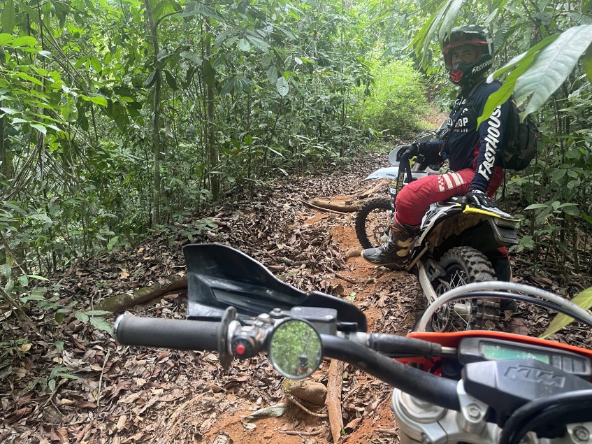 Trail Mirror