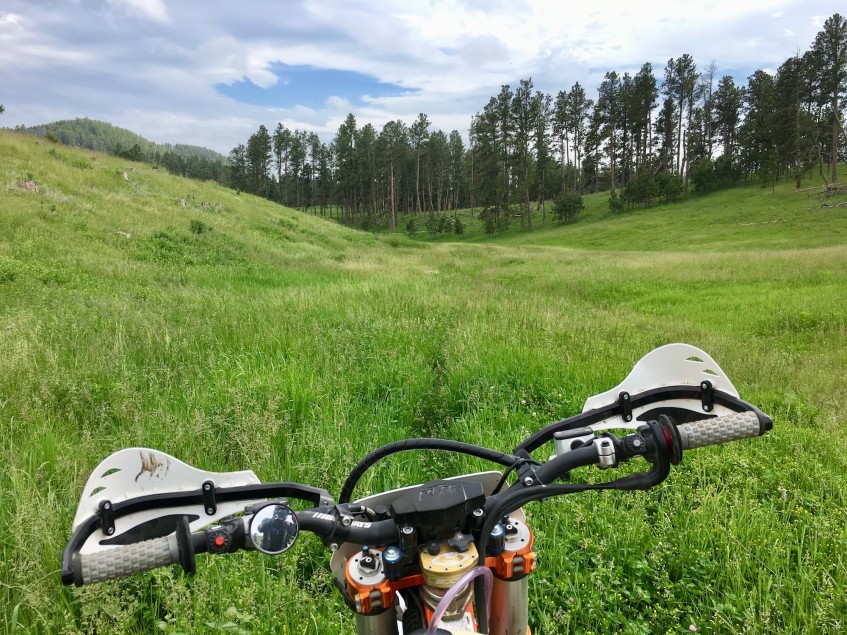 Trail Mirror